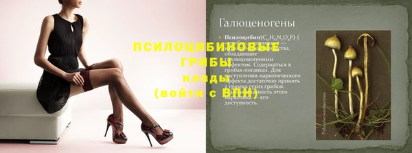 прущие крисы Абаза