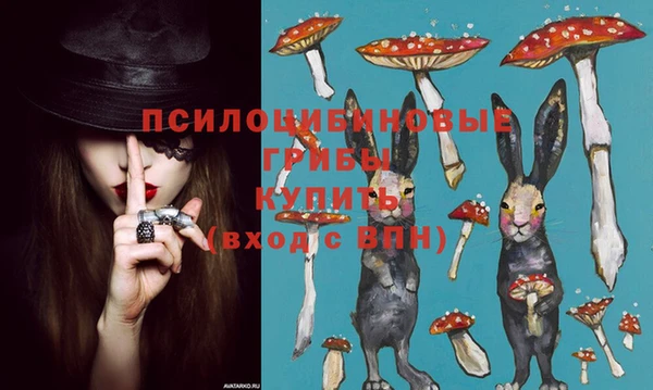 крисы Абдулино
