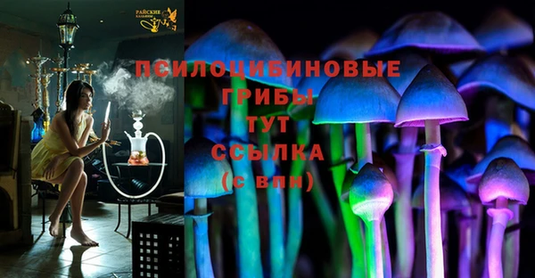 крисы Абдулино