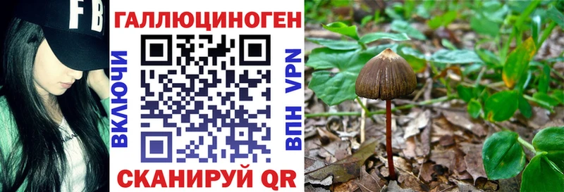 Псилоцибиновые грибы прущие грибы  ОМГ ОМГ ссылка  даркнет состав  Мурино 