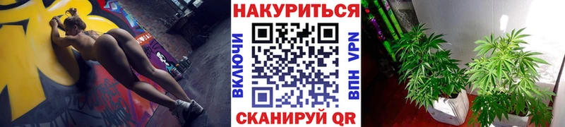 Бошки марихуана MAZAR  Мурино 